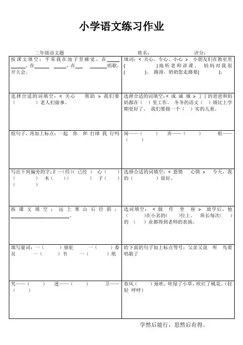 小学二年级语文阶段测试IV (97)