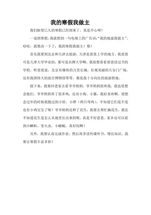 我的寒假我做主