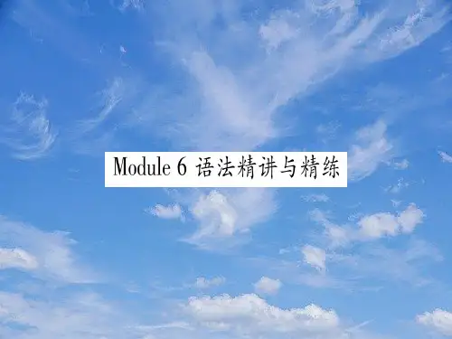九年级英语下册Module6Eatingtogether语法精讲与精练习题课件新版外研版