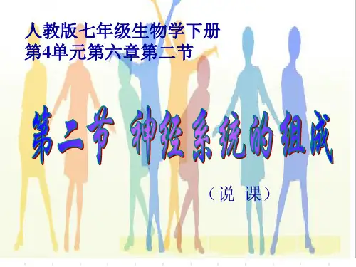 初中七年级生物学下册第4单元第六章第二节第二节  神经系统的组成说课稿