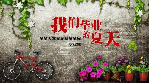 我们毕业的夏天 老同学聚会 毕业聚会怀旧青春 动态放映PPT模板15