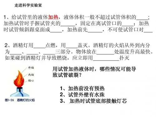科学七年级上期中复习