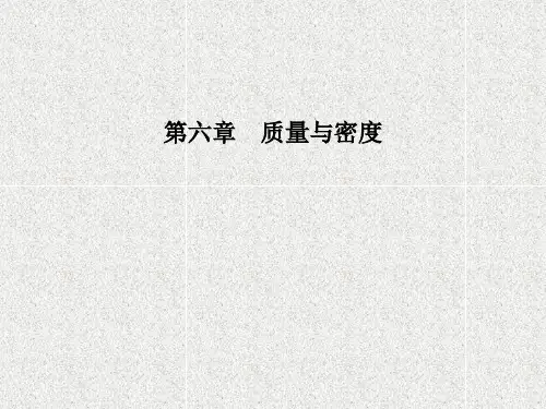 中考物理复习第六章质量与密度课件