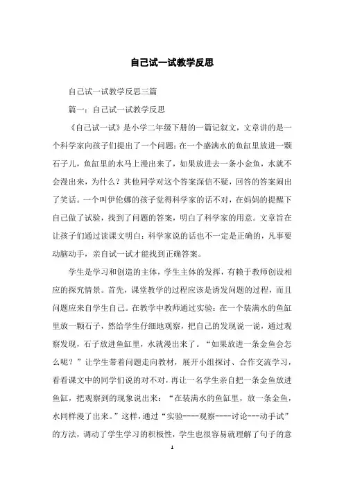 自己试一试教学反思