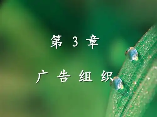 第3章 广告组织