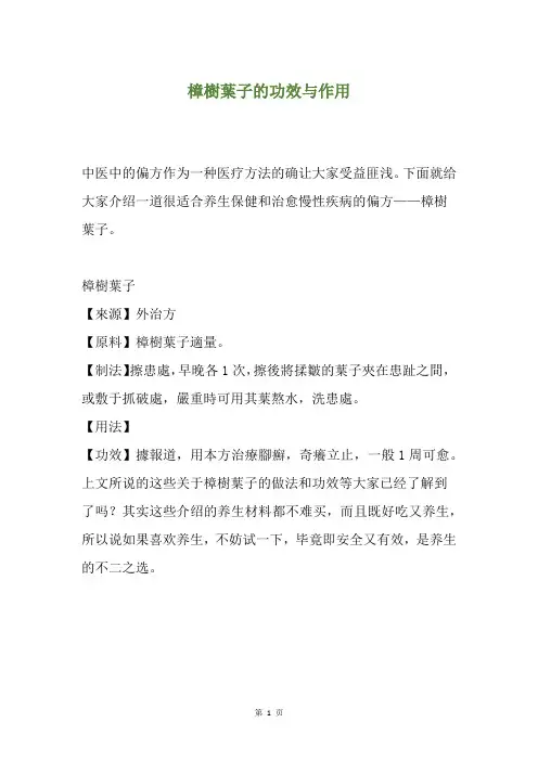 樟树叶子的功效与作用