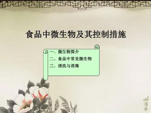 食品中的微生物及其控制共60页