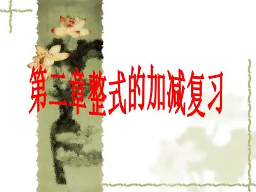 第二章整式的加减复习