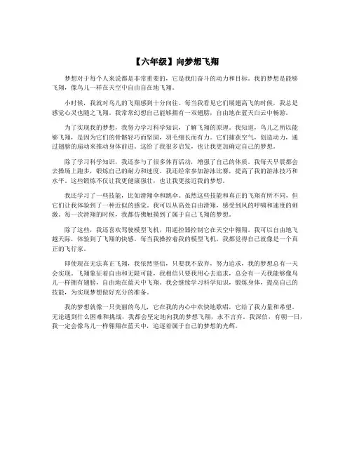 【六年级】向梦想飞翔