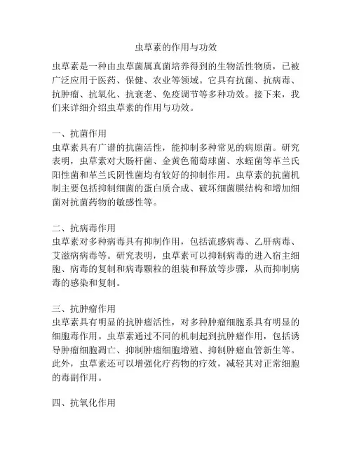 虫草素的作用与功效