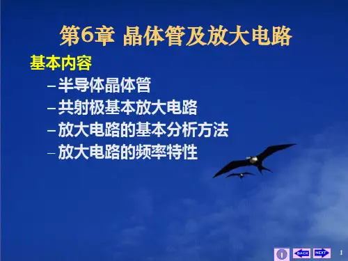 第6章  晶体管及基本放大电路