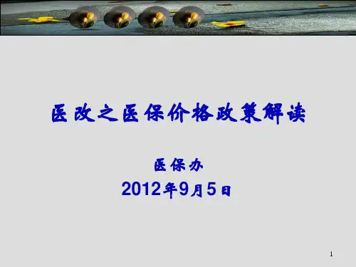医改之医保价格政策解读医保办9月5日