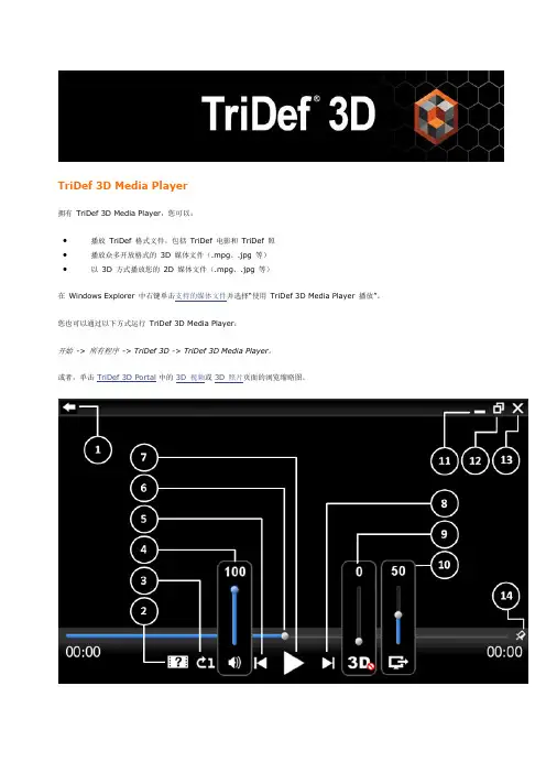 3D TriDef  用户指南