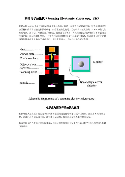 SEM(扫描电子显微镜)的原理