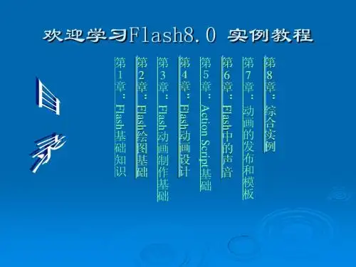 Flash8.0