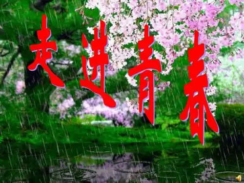 思想品德七年级上册第二单元第四课第一节走进青春