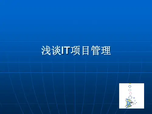 浅谈IT项目管理精品PPT课件