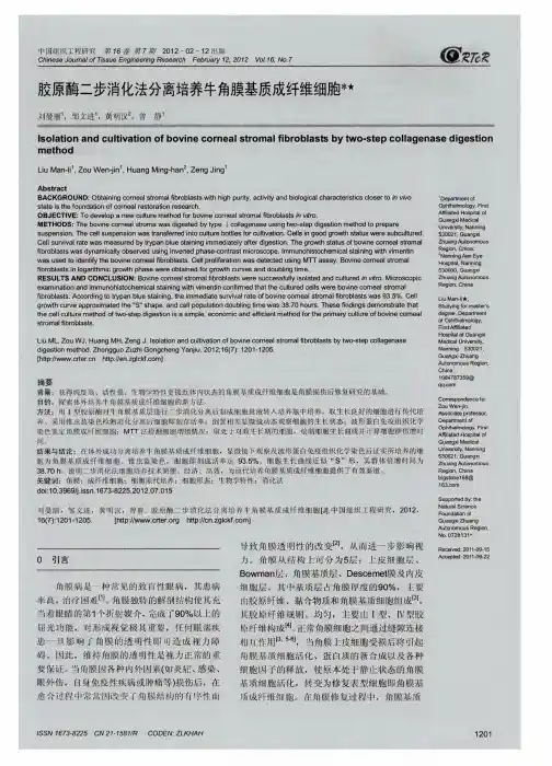 胶原酶二步消化法分离培养牛角膜基质成纤维细胞