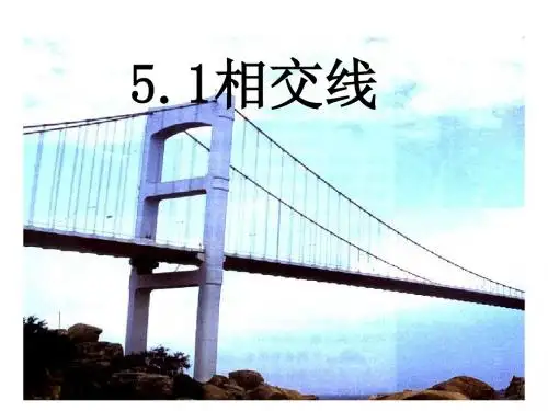 5.1.1相交线