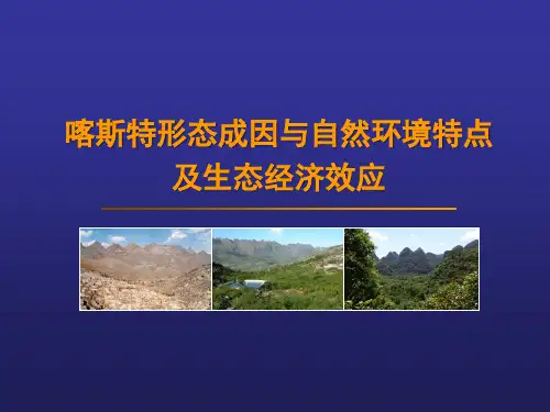 喀斯特形态成因和自然环境点与生态经济效应讲座PPT