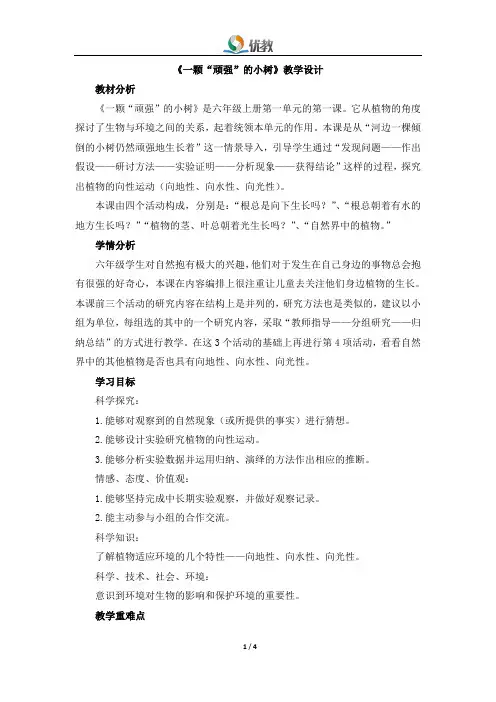 《一棵“顽强”的小树》教学设计
