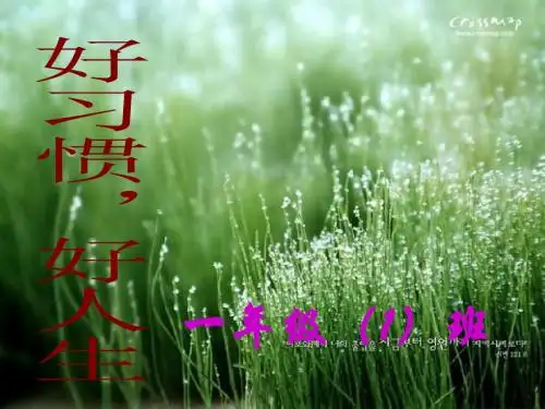 101上学期家长会发言稿PPT - 副本