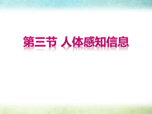 《人体的感知信息》PPT