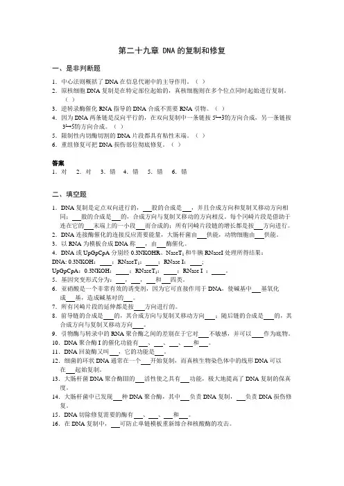 第二十九章DNA的复制和修复