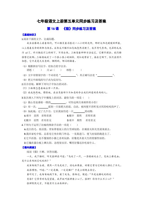 七年级语文上册第五单元第16课《猫》同步练习及答案