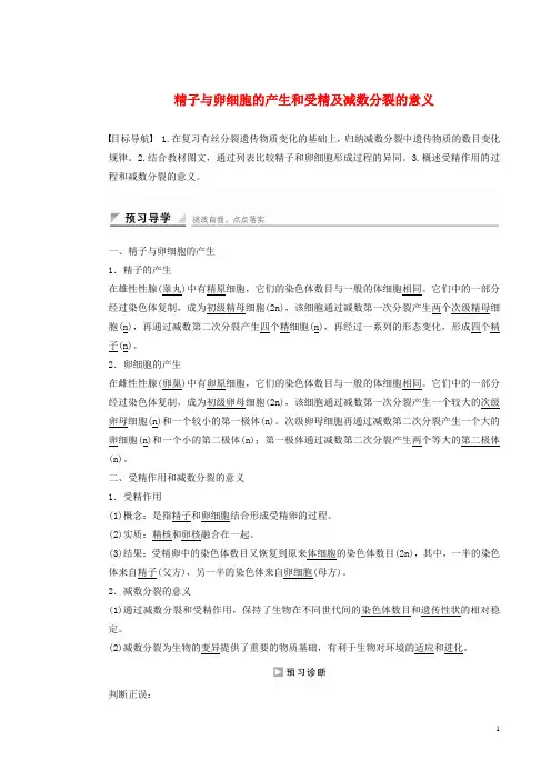 高中生物 第二章 第一节 精子与卵细胞的产生和受精及减数分裂的意义(第2课时)课时作业 浙科版必修2