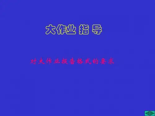 大作业报告格式
