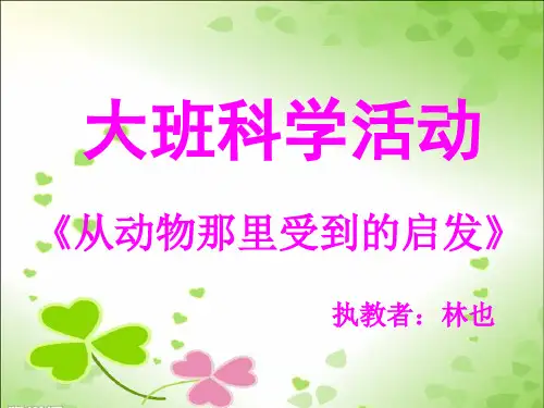 从动物那里受到的启发