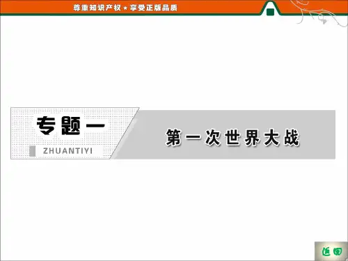 高二历史人民版选修3课件:专题一 第二课 第一次世界大战的经过26页PPT