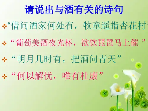 乙醇的分子组成和结构探究