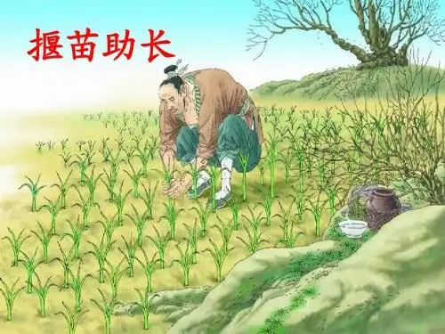 矛和盾的集合ppt