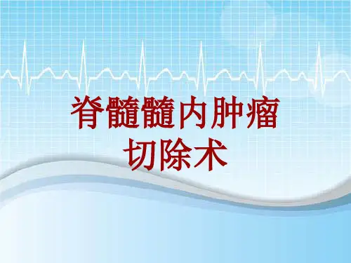 手术讲解模板：脊髓髓内肿瘤切除术