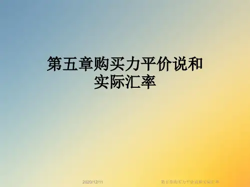 第五章购买力平价说和实际汇率