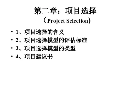 第二章项目选择