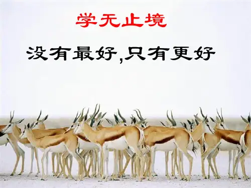 分式复习分式及其运算复习公开课