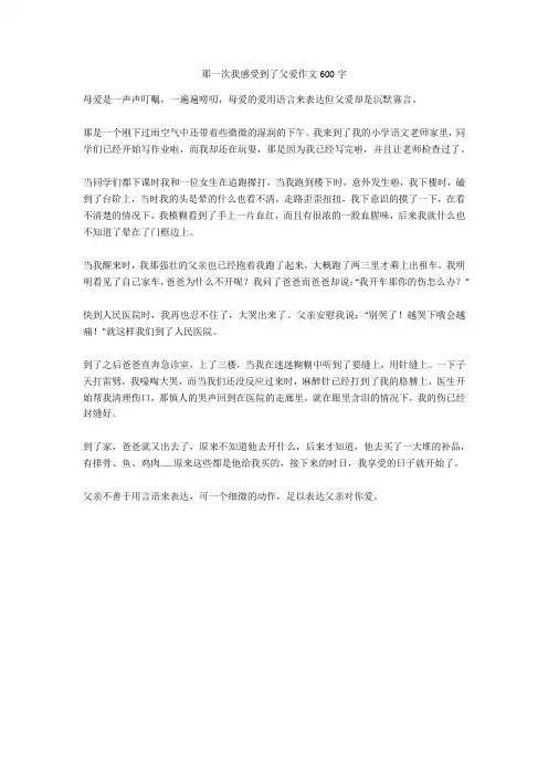 那一次我感受到了父爱作文600字满分指导版