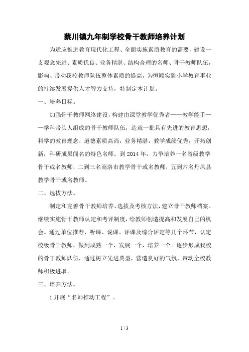 骨干教师培训计划