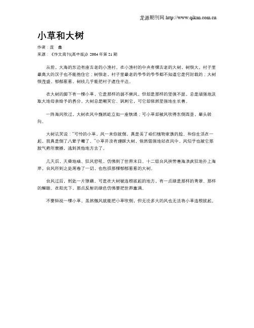 小草和大树 3
