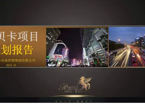 年许昌瑞贝卡项目策划报告