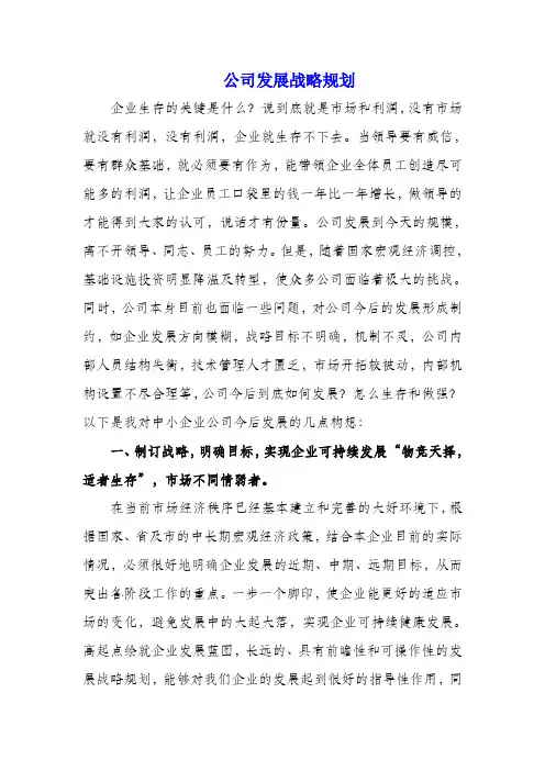 公司发展战略规划
