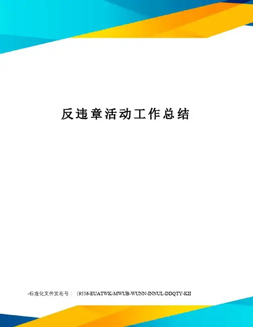 反违章活动工作总结