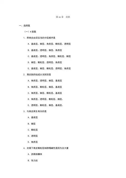 第11章  皮肤 2