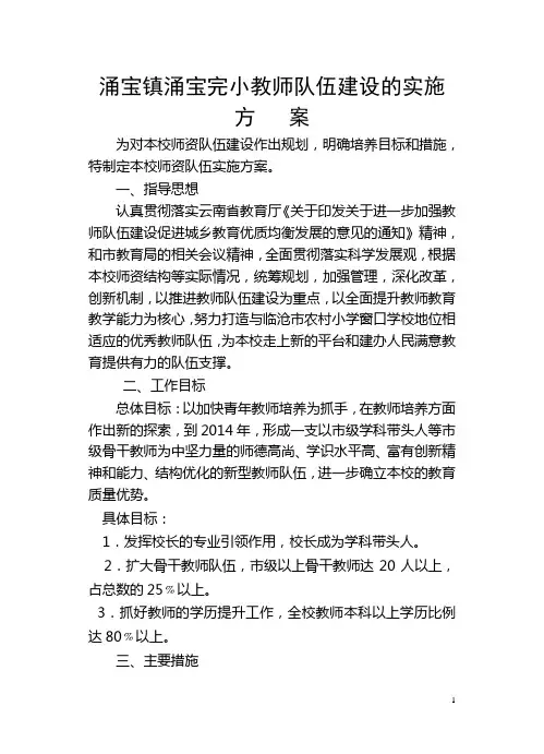 师资队伍建设实施方案(件)