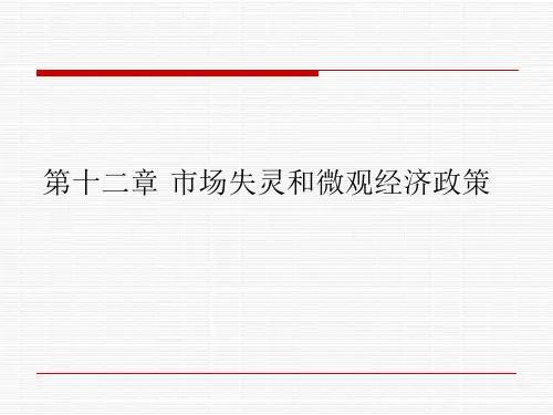微观经济学第十二章
