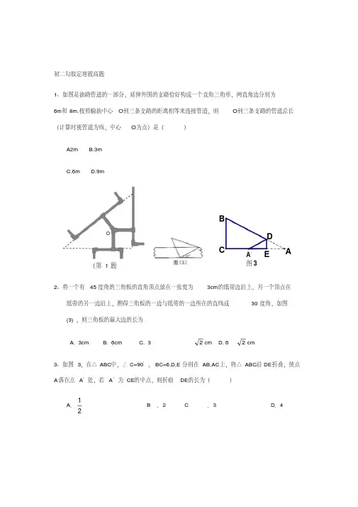 初二勾股定理拔高题.