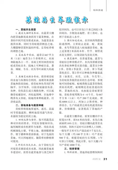 菜蛙共生养殖技术